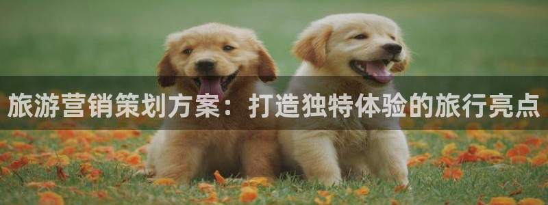 必赢这个平台怎么样可靠吗