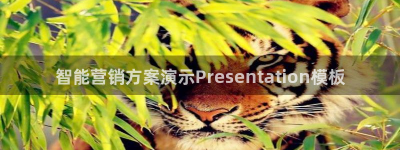 必赢官网app下载安装苹果版