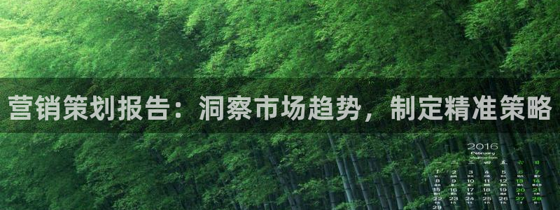 必赢国际437app下载