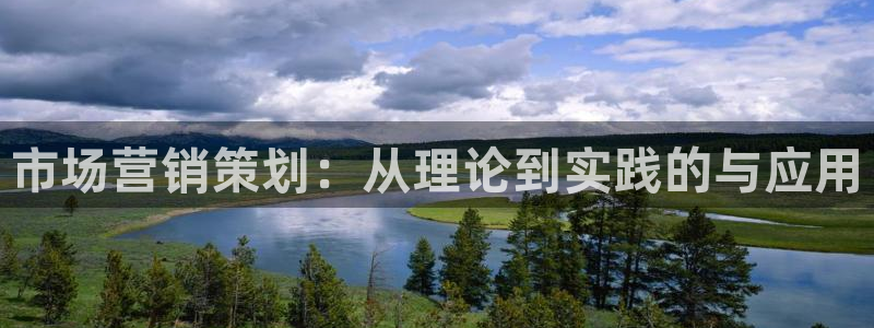 必赢net.95