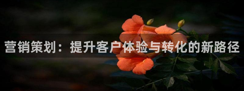 必赢国际437怎么样