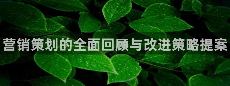 必赢最新消息