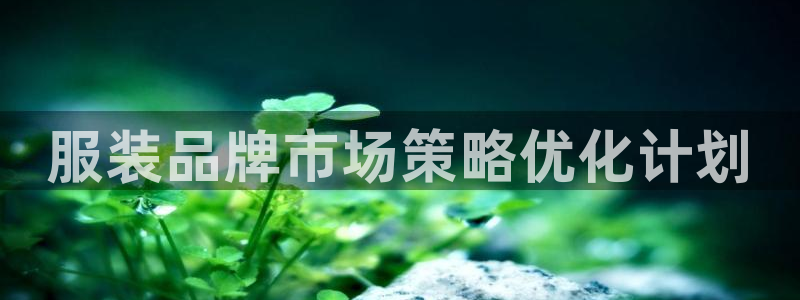 必赢3003平台