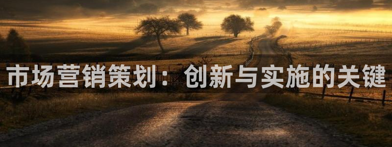 必赢网站是多少啊