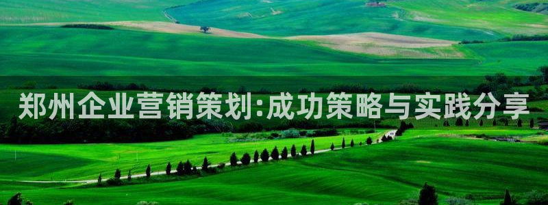 必赢科技中国有限公司