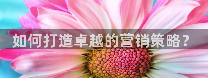 必赢3003网官