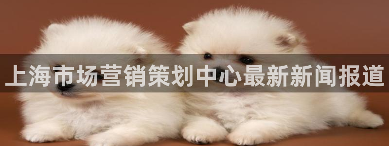 必赢网址