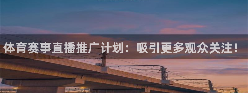 必赢网怎么打不开了呀