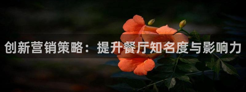 必赢网站是哪一个平台