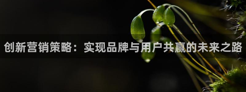 必赢手机app下载最新版本安装