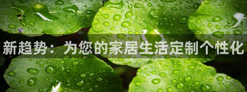必赢国际技巧