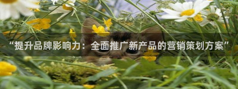 必赢官网app下载安装手机版