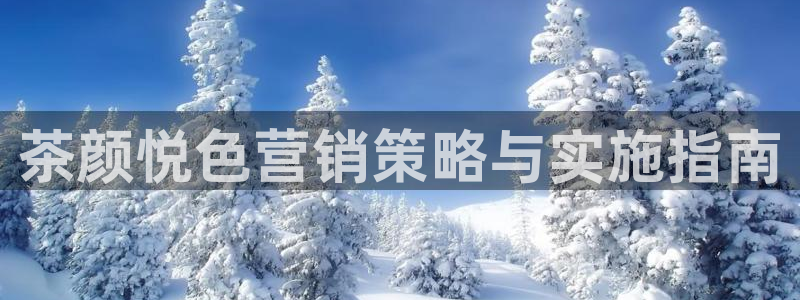 必赢网怎么打不开了呀