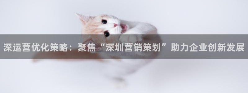 必赢516net怎么进