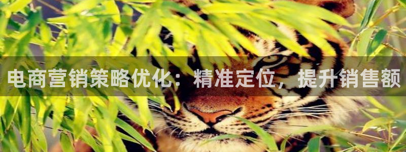 437437必赢国际怎么充不了钱