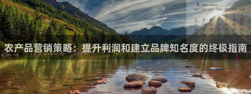 必赢3003手机网页版
