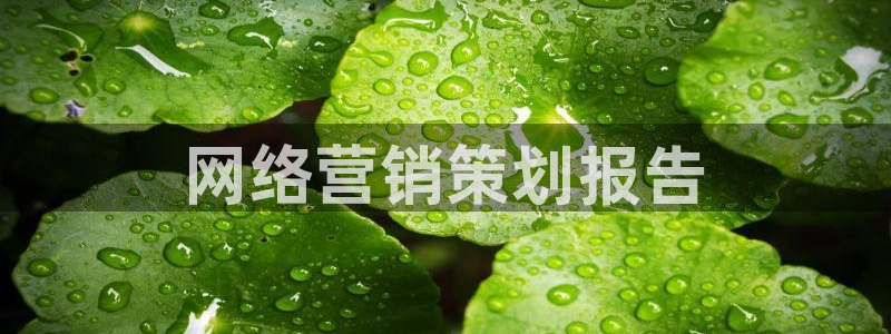 必赢宝app软件下载