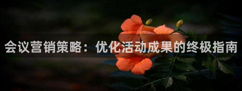 必赢官网网站