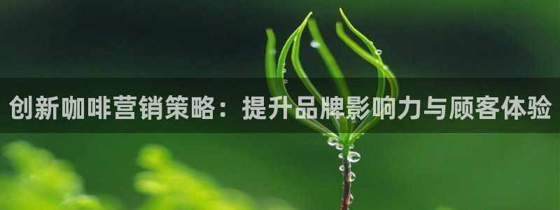 必赢国际437网页版