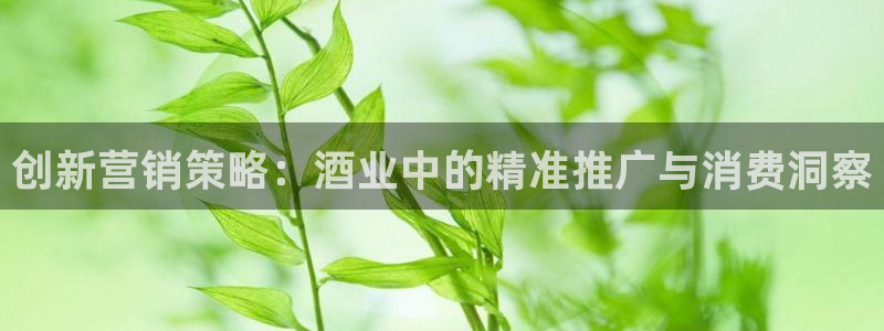 必赢3003+会员账号