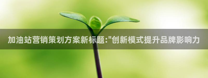 必赢网站平台登录