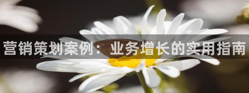 必赢亚赢网站官网下载手机版安装