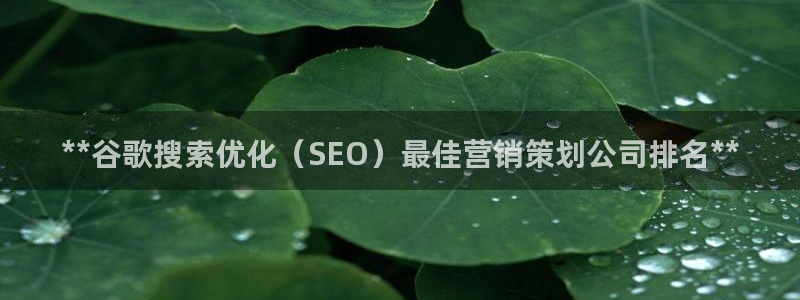 必赢手机app下载 最新版本