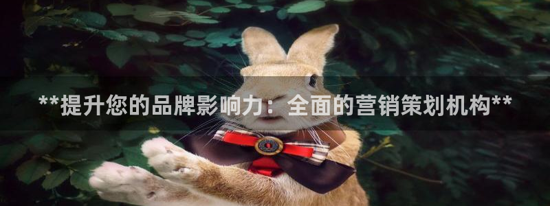 必赢国际437官方