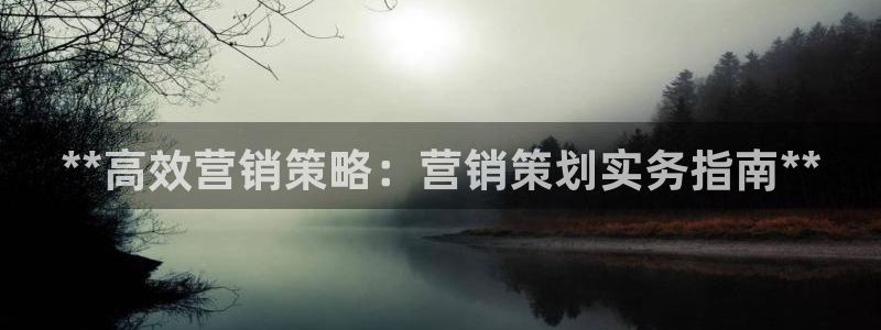 必赢集团怎么样