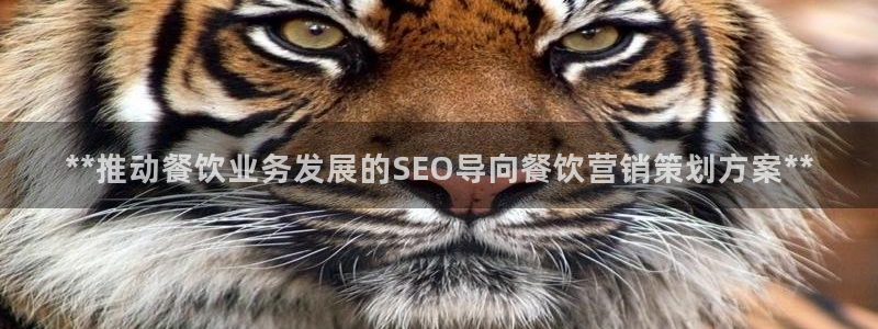 必赢平台怎么样知乎