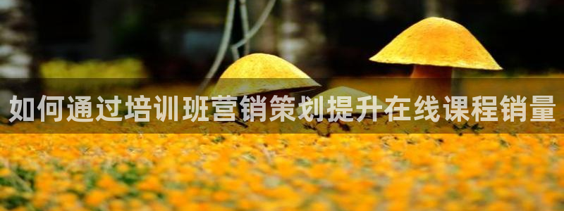 必赢手机app下载