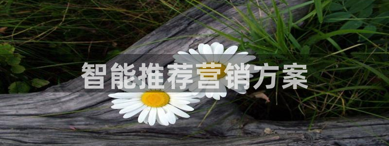 必赢网站是哪一个公司的