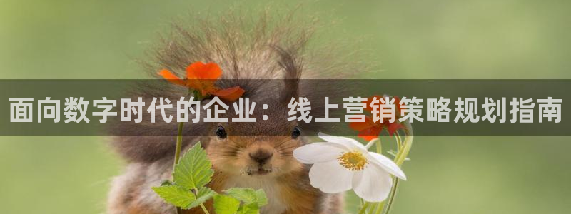 必赢官网app下载安装手机版