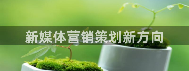 必赢7231