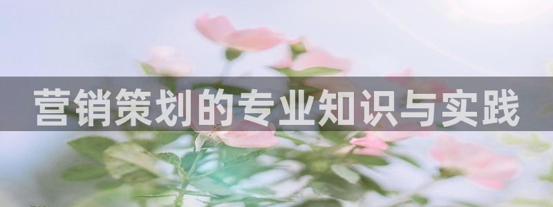 95必赢网址多少