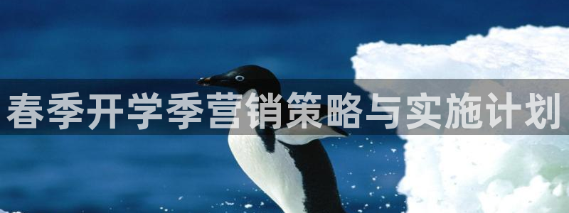 必赢网址