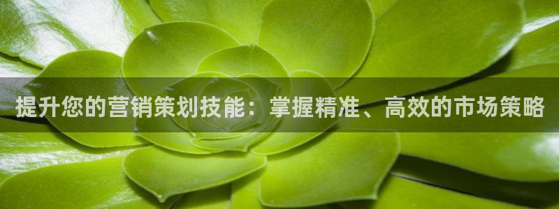 必赢下载安卓版下载