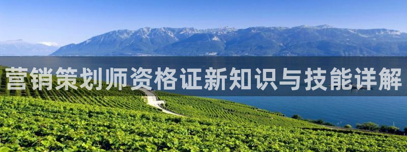 必赢官网网站入口网址