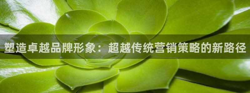 必赢亚赢网站官网下载安装最新版
