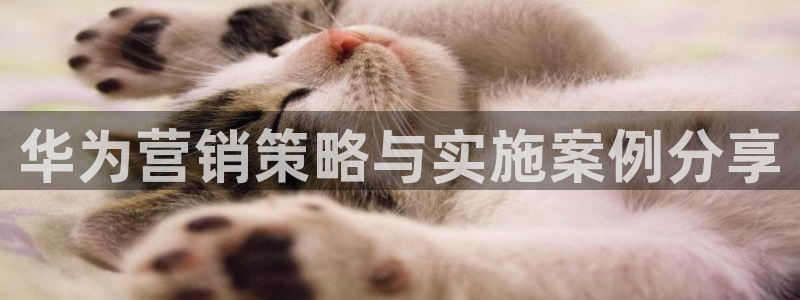 必赢app客户端下载官网手机版