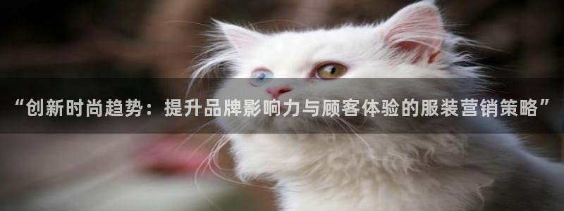 必赢手机版官网