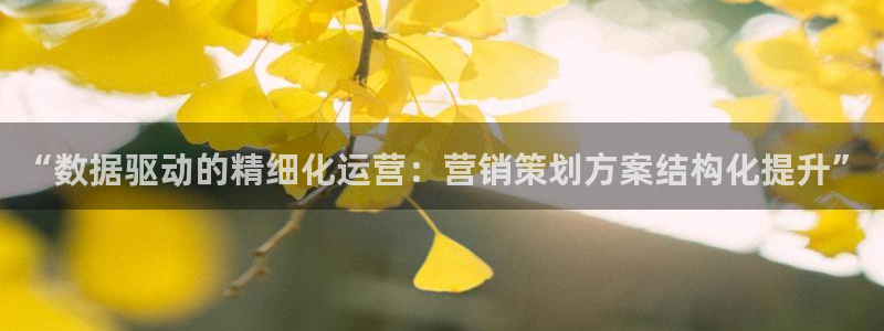 必赢下载官方