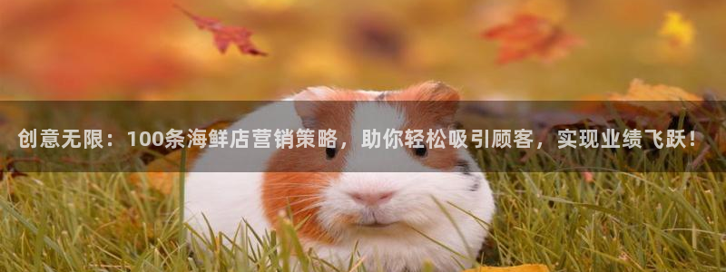 必赢网站有哪些