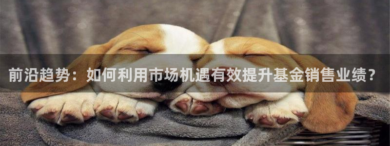 必赢app客户端下载