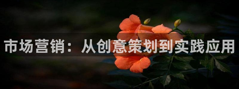 56.nt必赢官网