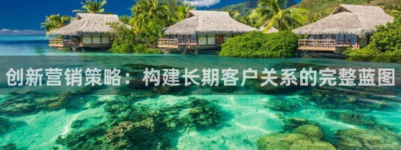 必赢棋盘官网版：创新营销策略：