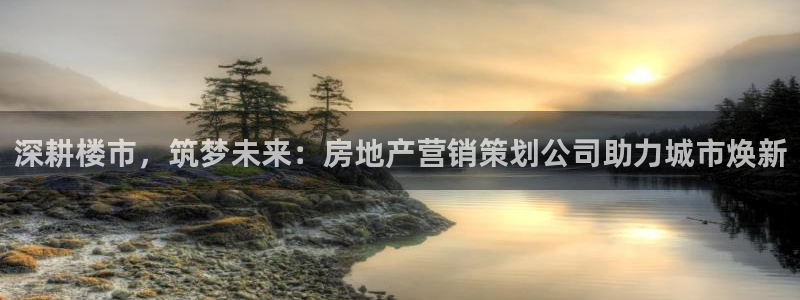 必赢官网网站入口