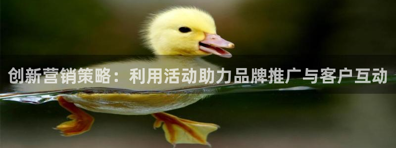 必赢官网