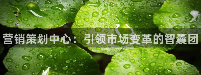 必赢app能挣钱吗