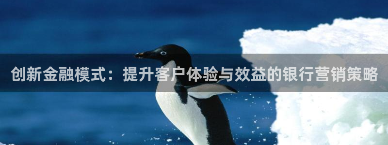 必赢国际的网站多少